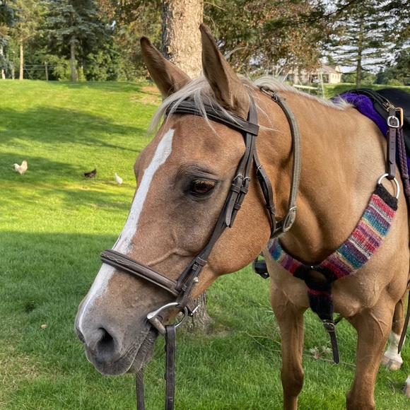 Meet your Posher, Katelyn - Picture 2 of 3